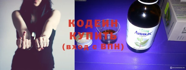 ПСИЛОЦИБИНОВЫЕ ГРИБЫ Арсеньев