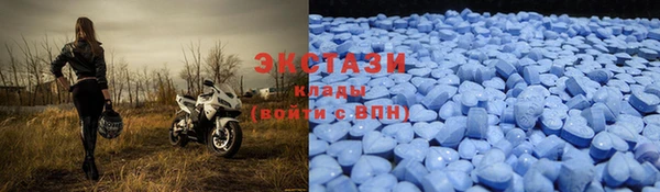 ПСИЛОЦИБИНОВЫЕ ГРИБЫ Арсеньев