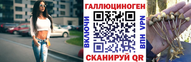 Псилоцибиновые грибы прущие грибы  omg зеркало  Темников 